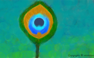 pecockfeather