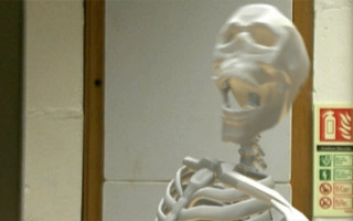 skeletoninlab