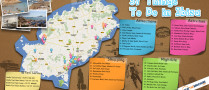 infographic_Preview